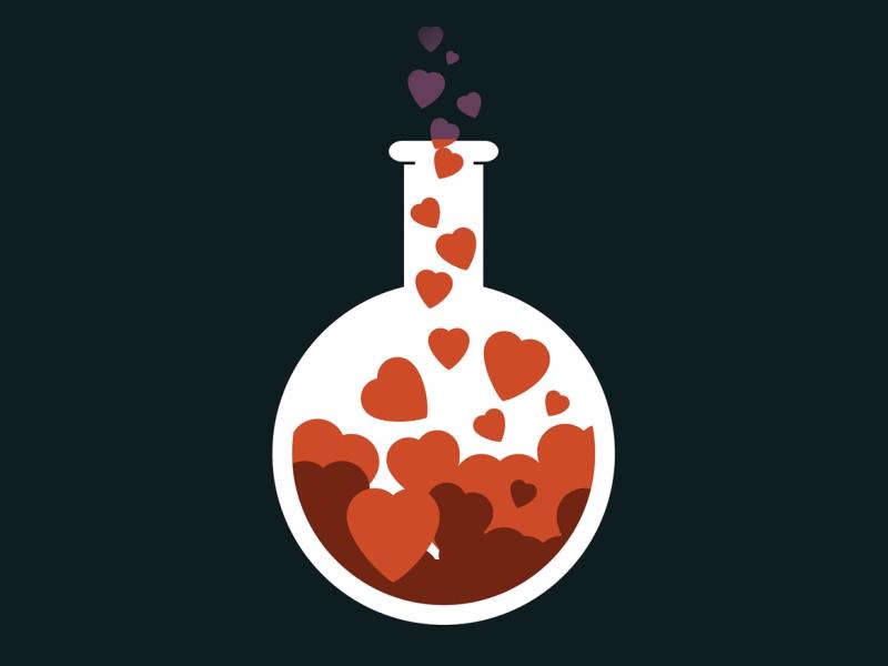 The Science of Love&nbsp;🧪❤️