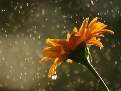 “March Is Nice, She Says” by Hannah L.&nbsp;🌦