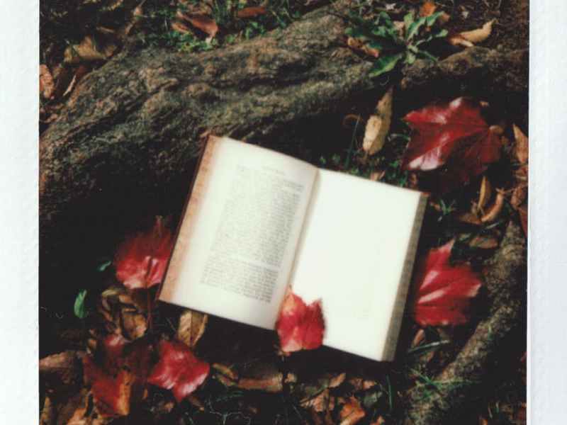 Want to read more about Visual Art? Browse through our recommendations!