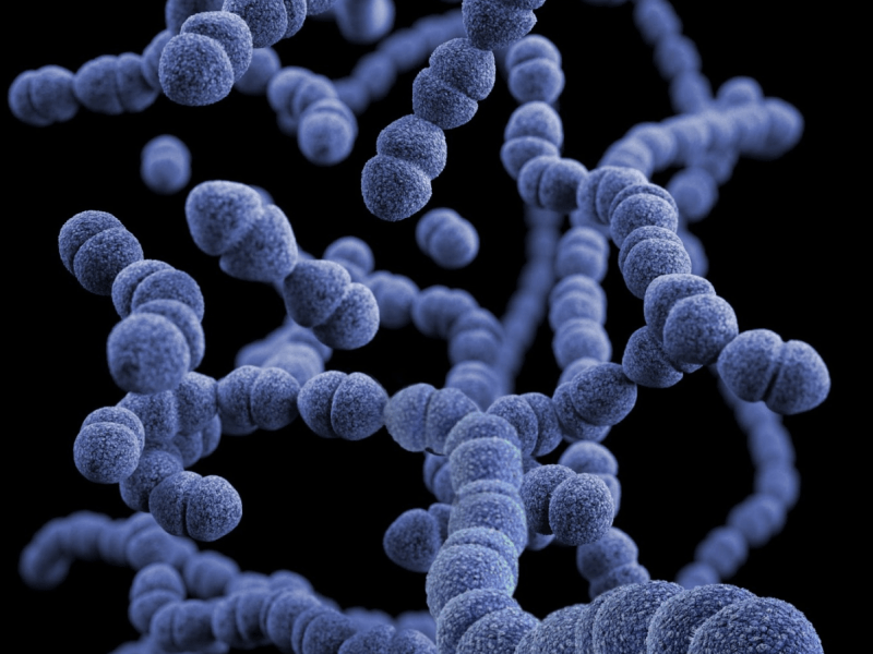 Science shorts: Does Better Gut Health Link to Better Mental&nbsp;Health?