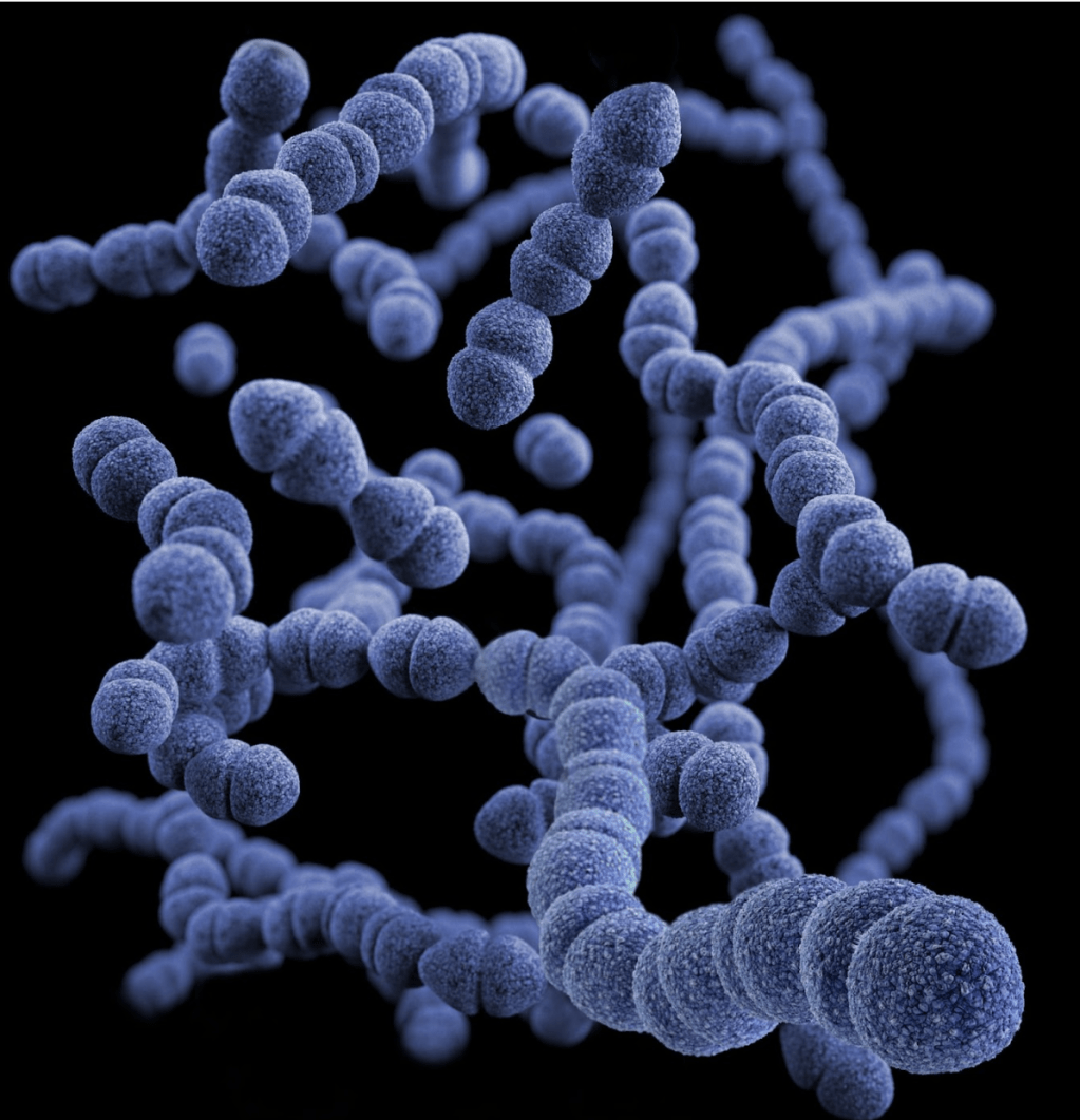 Science shorts: Does Better Gut Health Link to Better Mental&nbsp;Health?