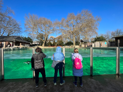 Halcyon’s Inaugural IDU Days are a&nbsp;Success